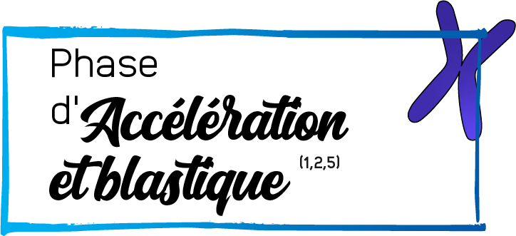 Phase d'accélération et blastique